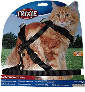 Comment choisir un harnais pour chat ? - Blog